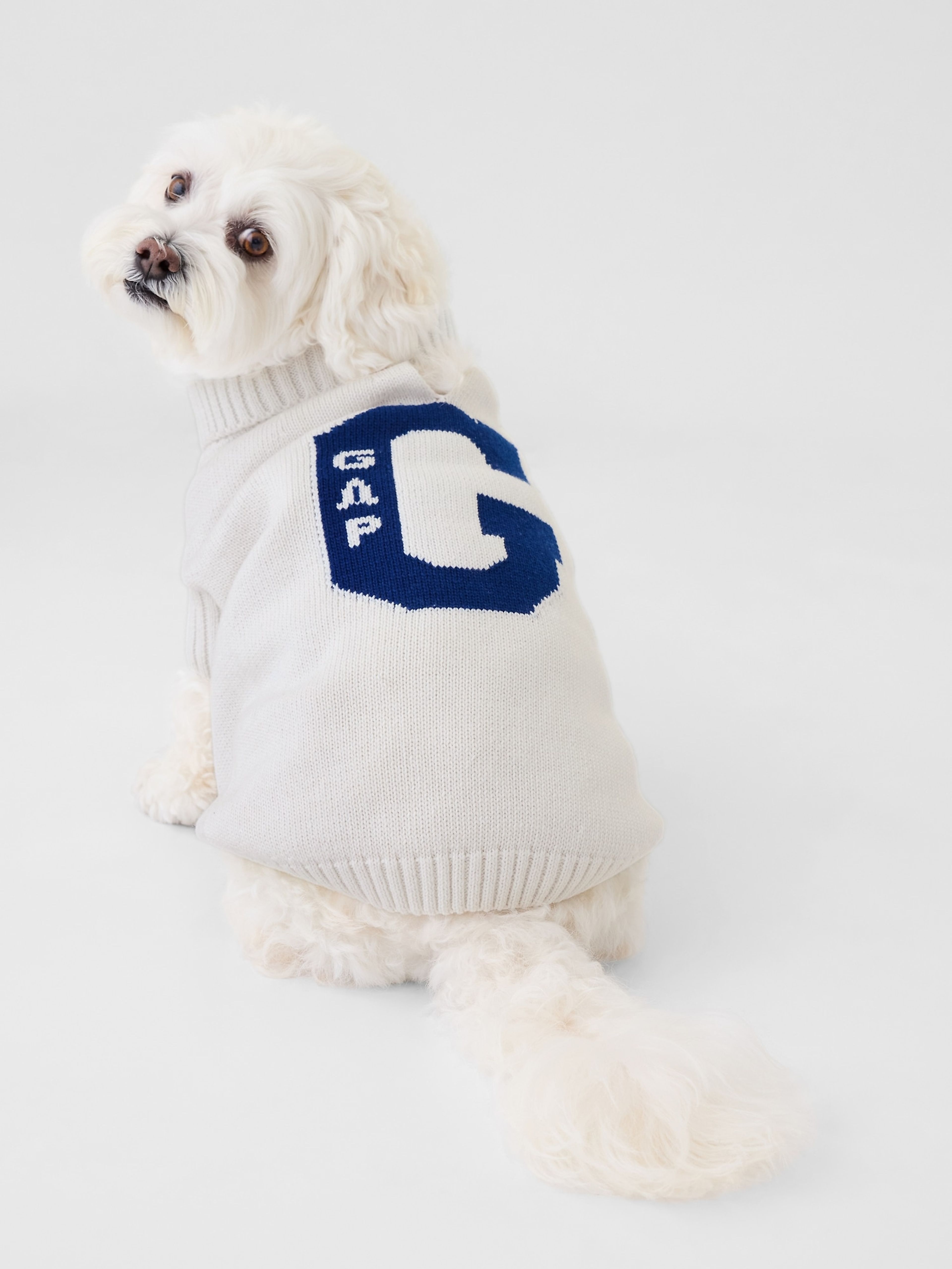 Hundepullover mit Logo