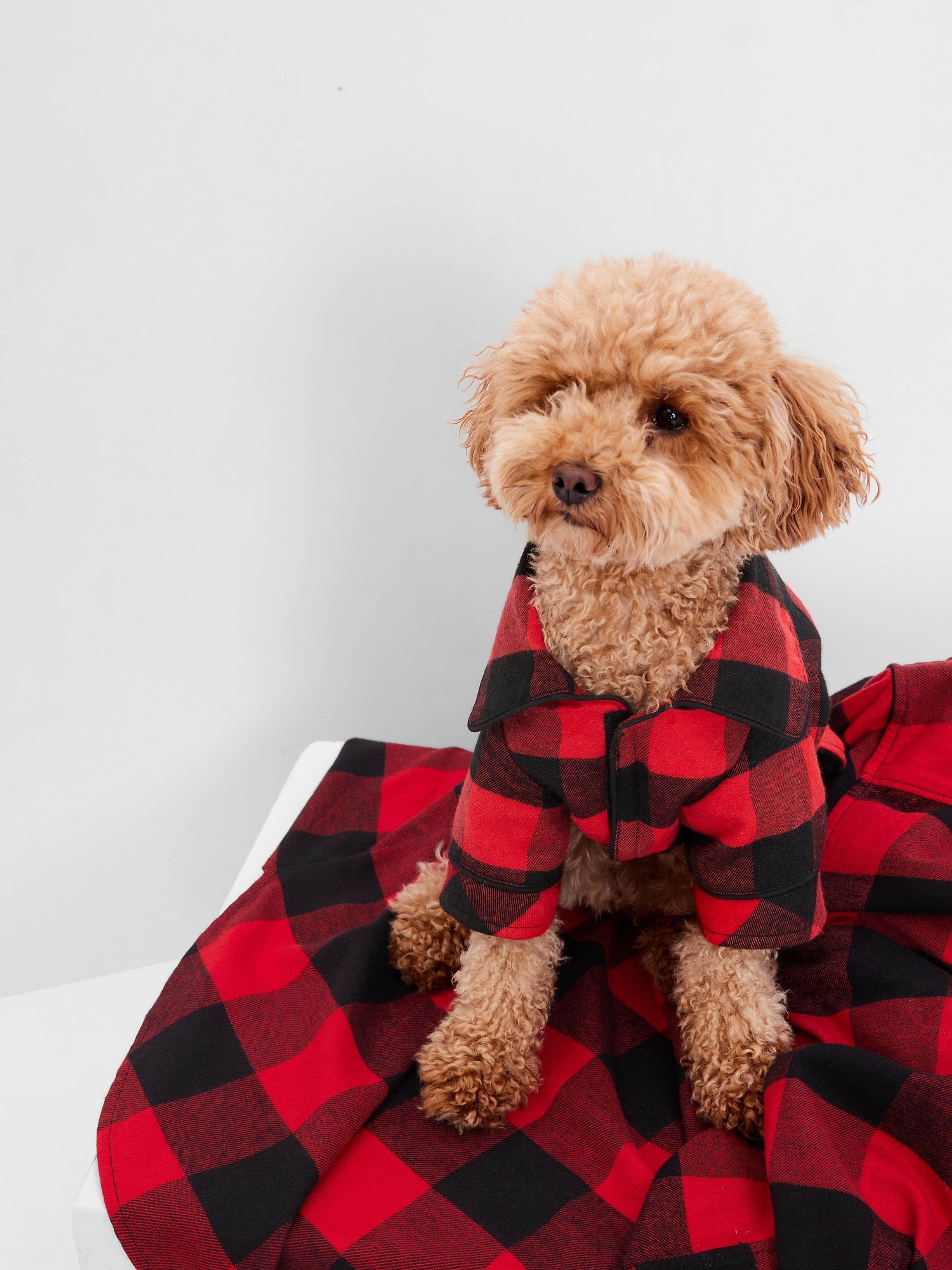 Family Pajamas Flannel Pajamas Matching Dog Pj Buy Red Check